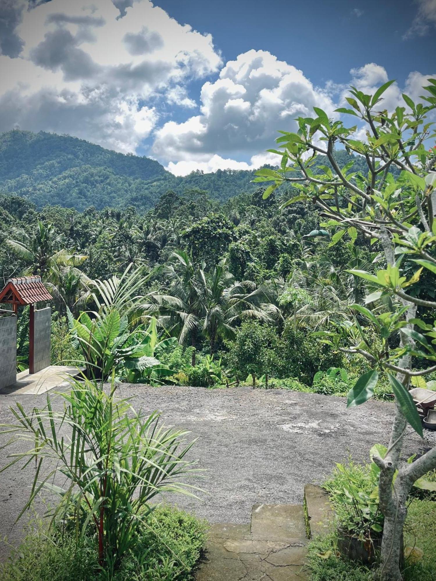 Papahan Bali Sidemen  Exterior photo
